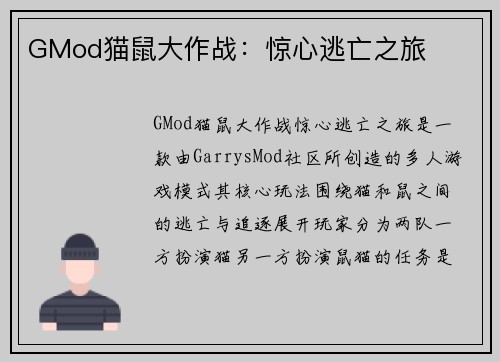 GMod猫鼠大作战：惊心逃亡之旅