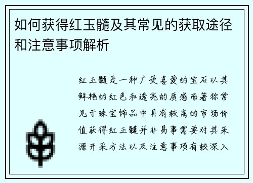 如何获得红玉髓及其常见的获取途径和注意事项解析